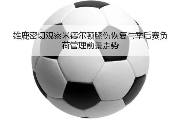 img_1781731073858_2619_1_749.jpg